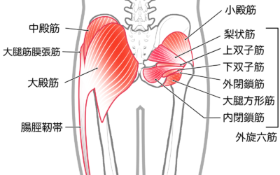 梨状筋症候群と整体の実際の効果
