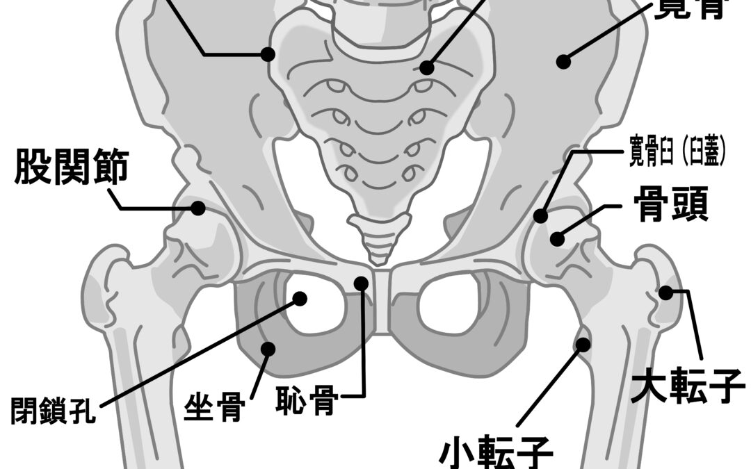 股関節の角度の重要性