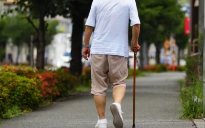 年齢とともに感じる体力低下、その正体とは？