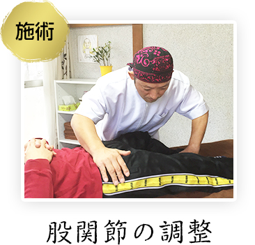 股関節の調整 股関節の調整